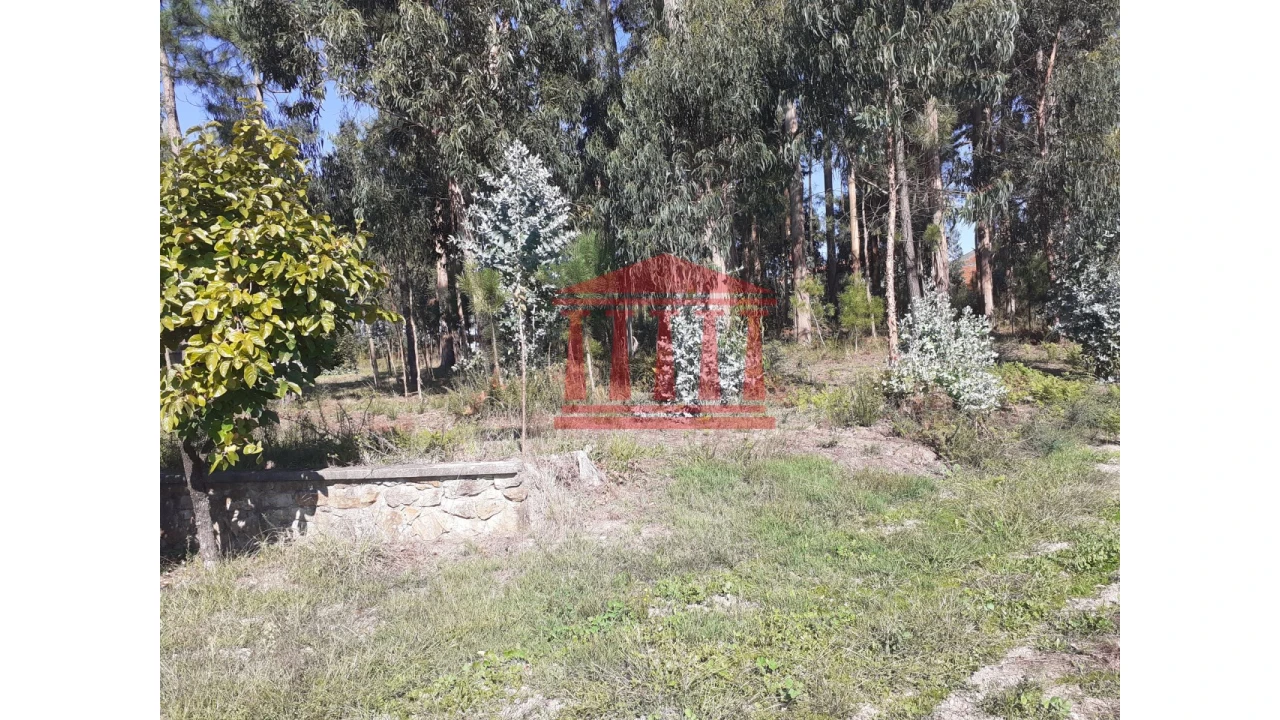 Terreno para Venda em Varzea Foto 2