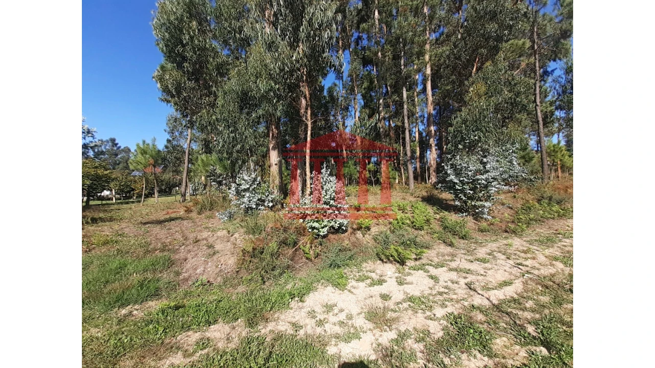 Terreno para Venda em Varzea Foto 5