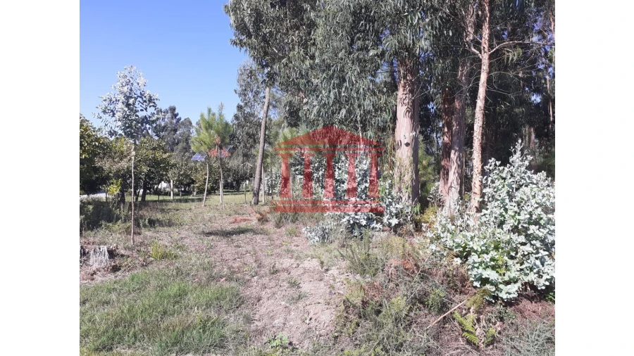 Terreno para Venda em Varzea Foto 7