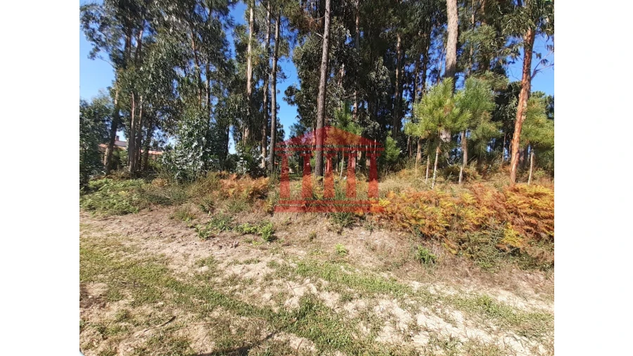 Terreno para Venda em Varzea Foto 8