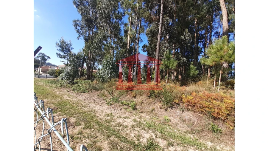 Terreno para Venda em Varzea Foto 9