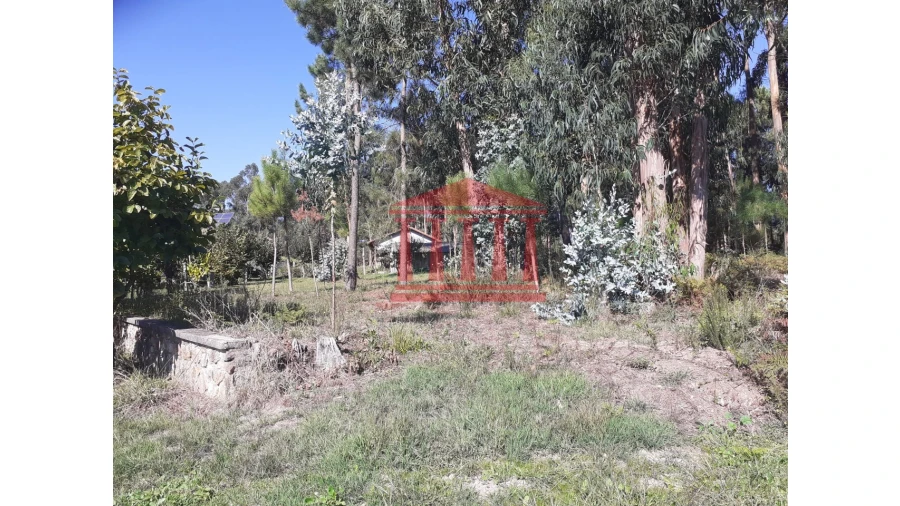 Terreno para Venda em Varzea Foto 10