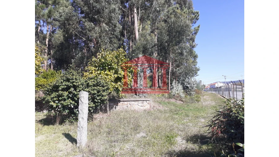 Terreno para Venda em Varzea Foto 11