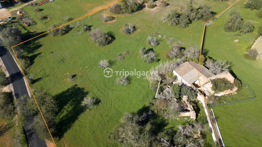Terreno Misto para Venda em Guia Foto 8