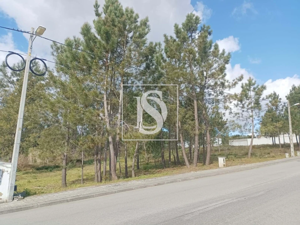 Terreno para Venda em Caxarias Foto 2