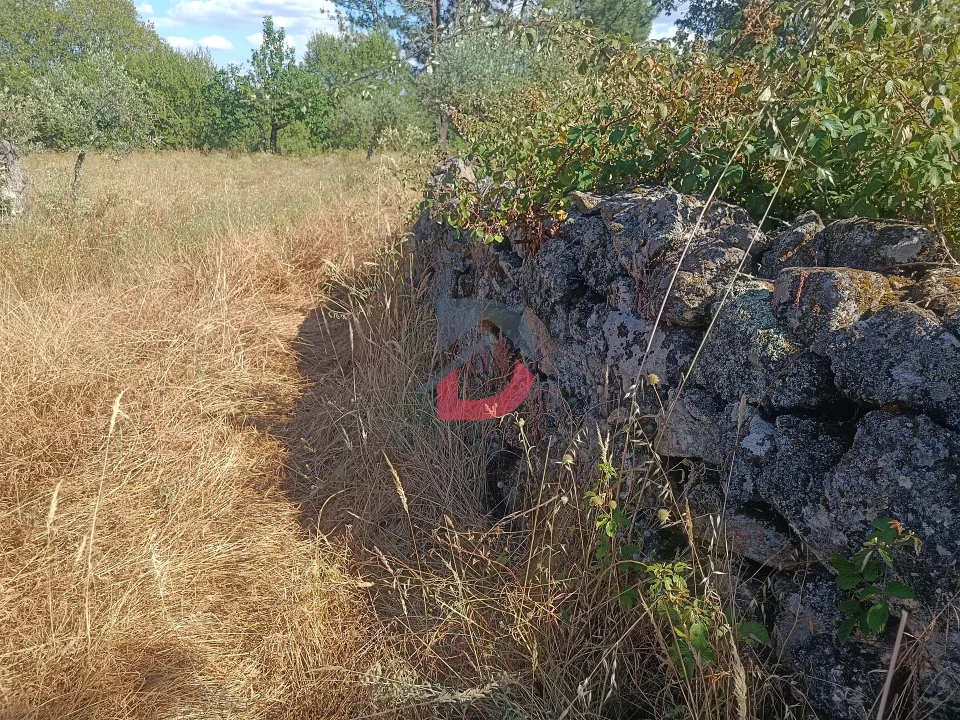 Terreno Agricola ou Rústico para Venda em Póvoa de Rio de Moinhos e Cafede Foto 13
