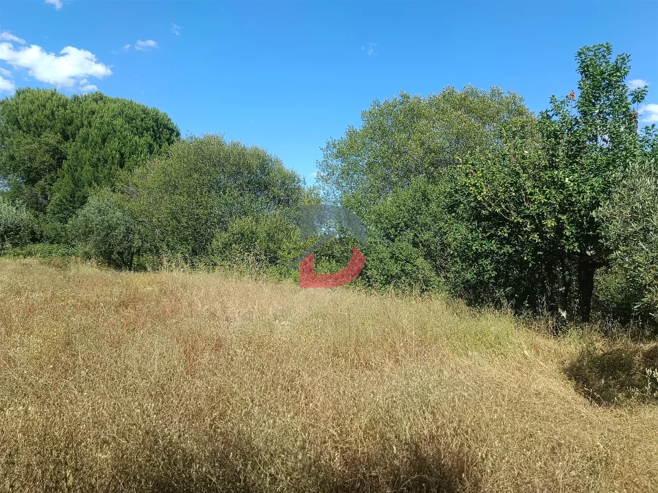 Terreno Agricola ou Rústico para Venda em Póvoa de Rio de Moinhos e Cafede Foto 11
