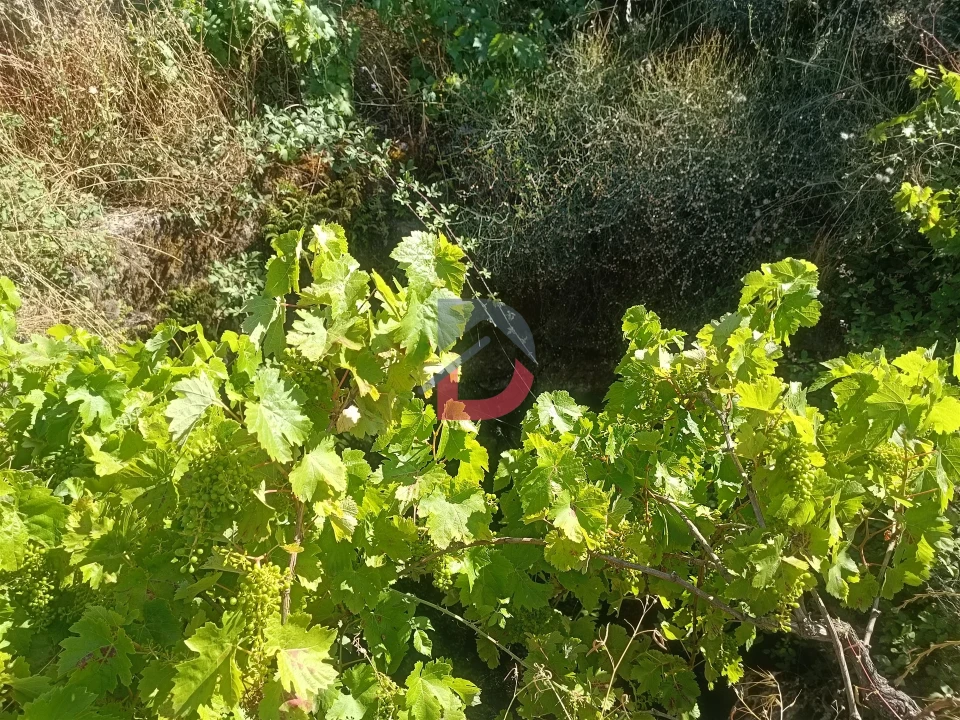 Terreno Agricola ou Rústico para Venda em Póvoa de Rio de Moinhos e Cafede Foto 9