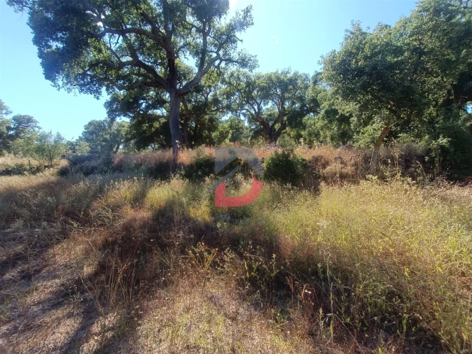 Terreno Agricola ou Rústico para Venda em Póvoa de Rio de Moinhos e Cafede Foto 2