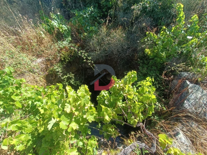 Terreno Agricola ou Rústico para Venda em Póvoa de Rio de Moinhos e Cafede Foto 8