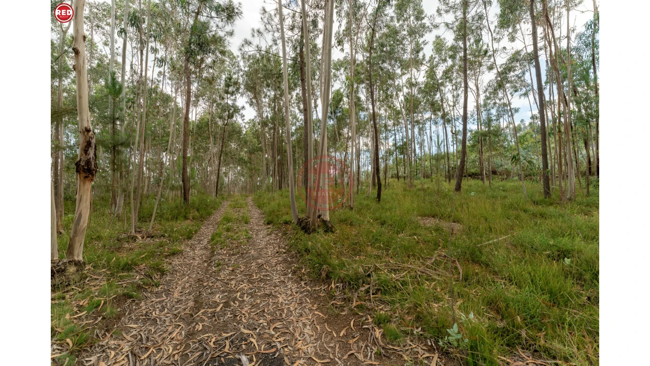 Terreno Agricola ou Rústico para Venda em Sandim, Olival, Lever e Crestuma Foto 4