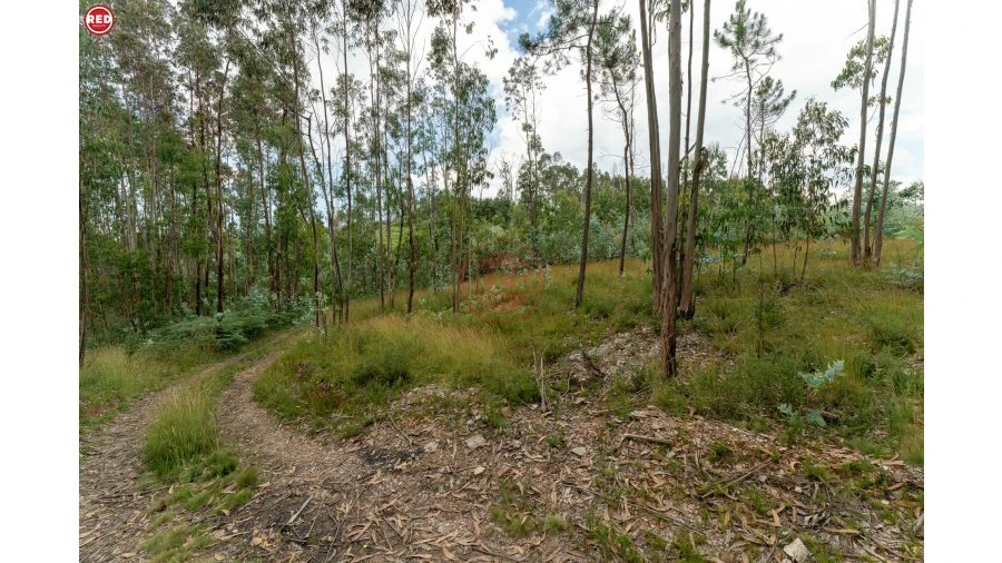 Terreno Agricola ou Rústico para Venda em Sandim, Olival, Lever e Crestuma Foto 8