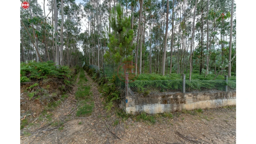 Terreno Agricola ou Rústico para Venda em Sandim, Olival, Lever e Crestuma Foto 14