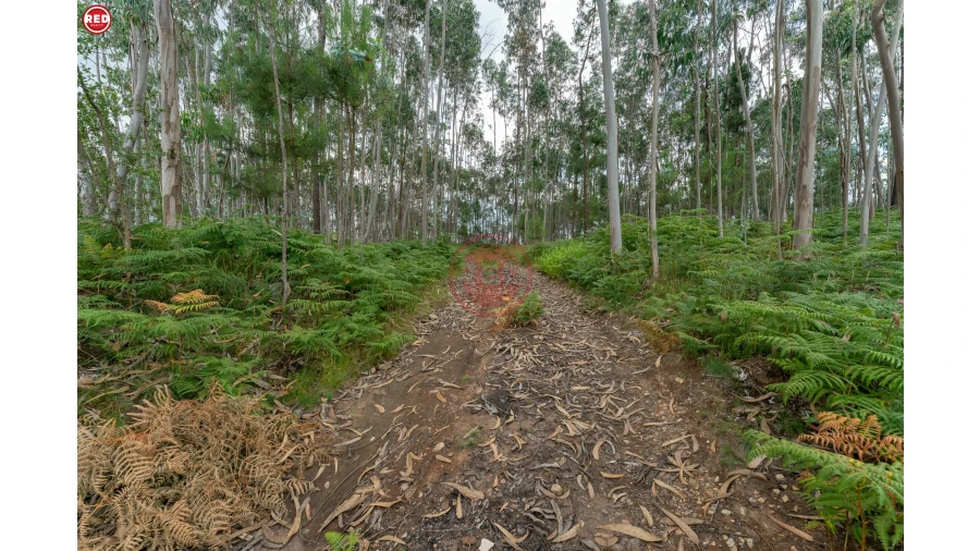 Terreno Agricola ou Rústico para Venda em Sandim, Olival, Lever e Crestuma Foto 2