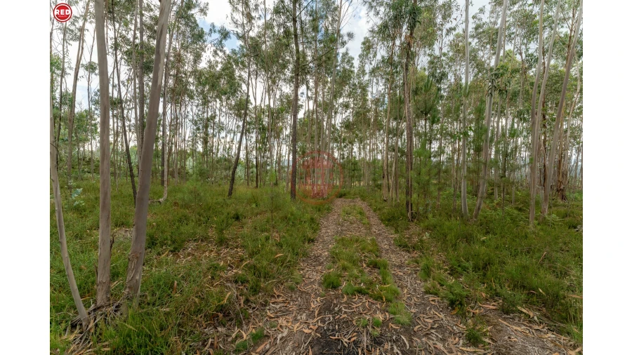 Terreno Agricola ou Rústico para Venda em Sandim, Olival, Lever e Crestuma Foto 5