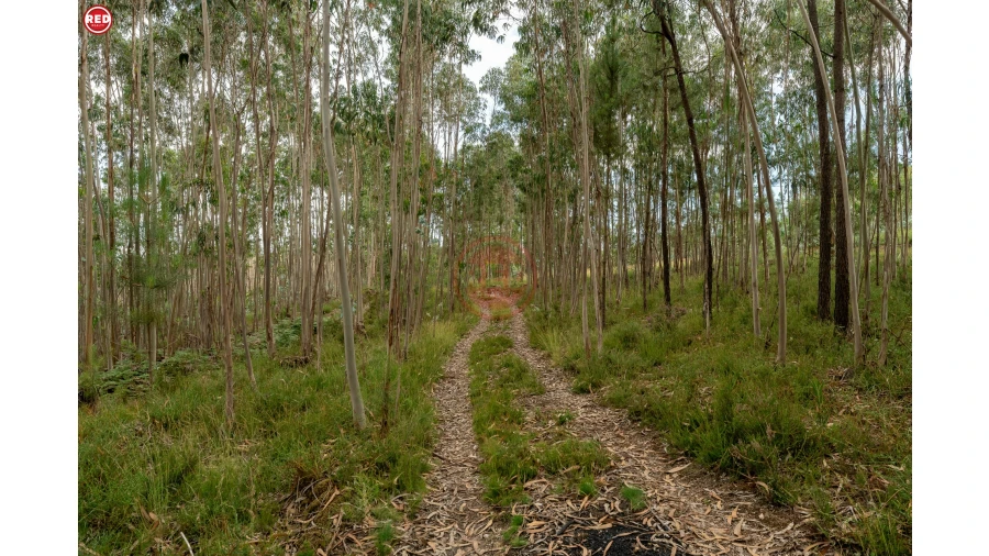 Terreno Agricola ou Rústico para Venda em Sandim, Olival, Lever e Crestuma Foto 6