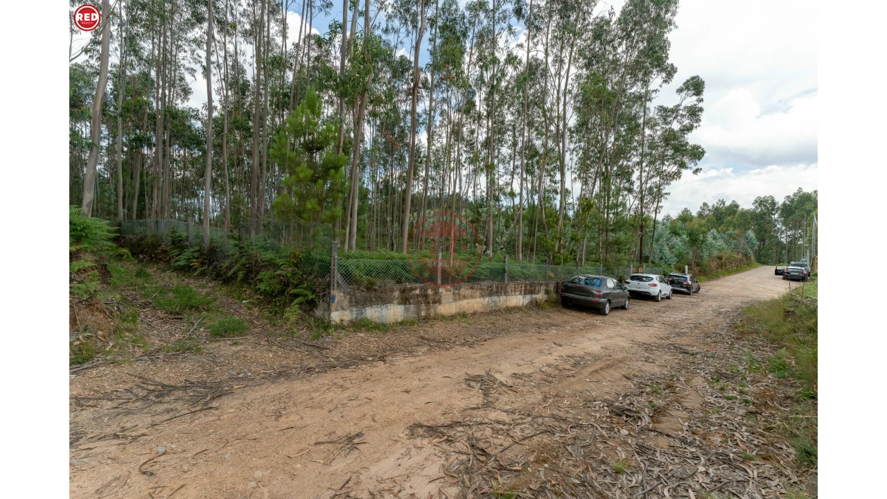Terreno Agricola ou Rústico para Venda em Sandim, Olival, Lever e Crestuma Foto 13