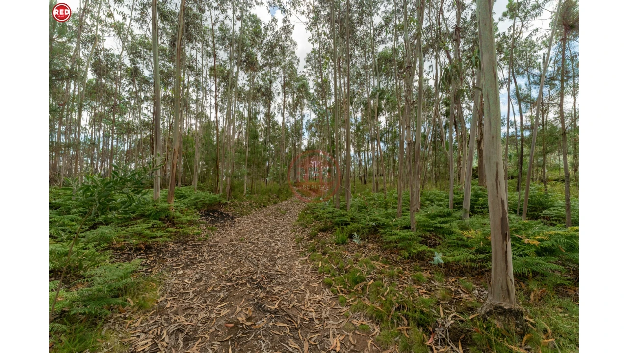 Terreno Agricola ou Rústico para Venda em Sandim, Olival, Lever e Crestuma Foto 1