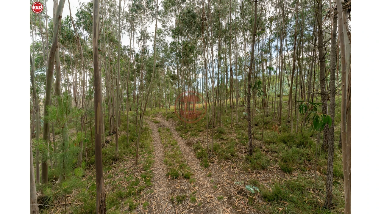Terreno Agricola ou Rústico para Venda em Sandim, Olival, Lever e Crestuma Foto 7