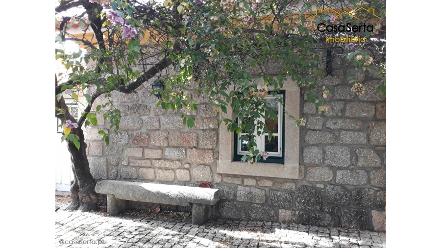Quinta T7 para Venda em Castelo Branco Foto 6
