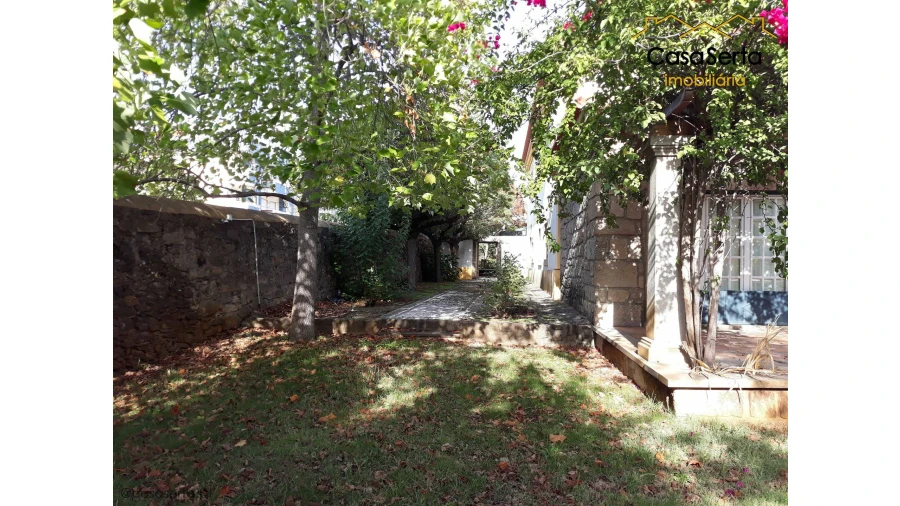 Quinta T7 para Venda em Castelo Branco Foto 3