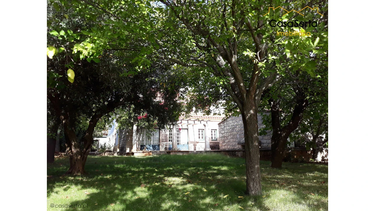 Quinta T7 para Venda em Castelo Branco Foto 1