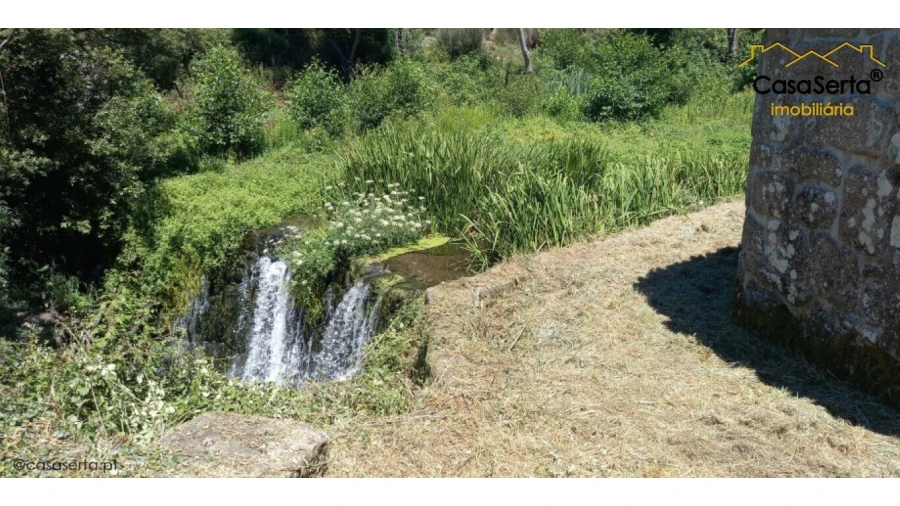 Quinta T0 para Venda em Travanca de Lagos Foto 11