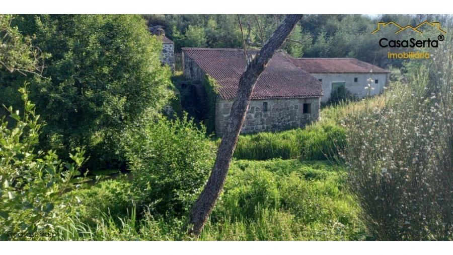 Quinta T0 para Venda em Travanca de Lagos Foto 3