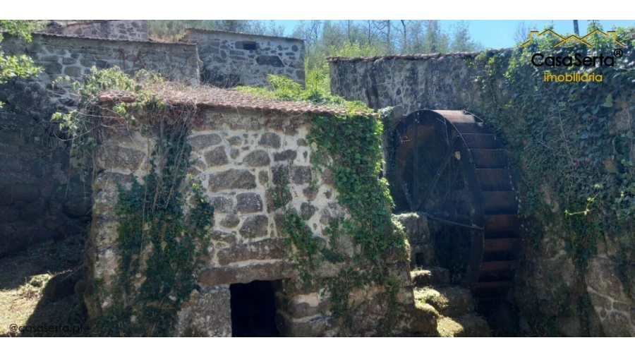 Quinta T0 para Venda em Travanca de Lagos Foto 8