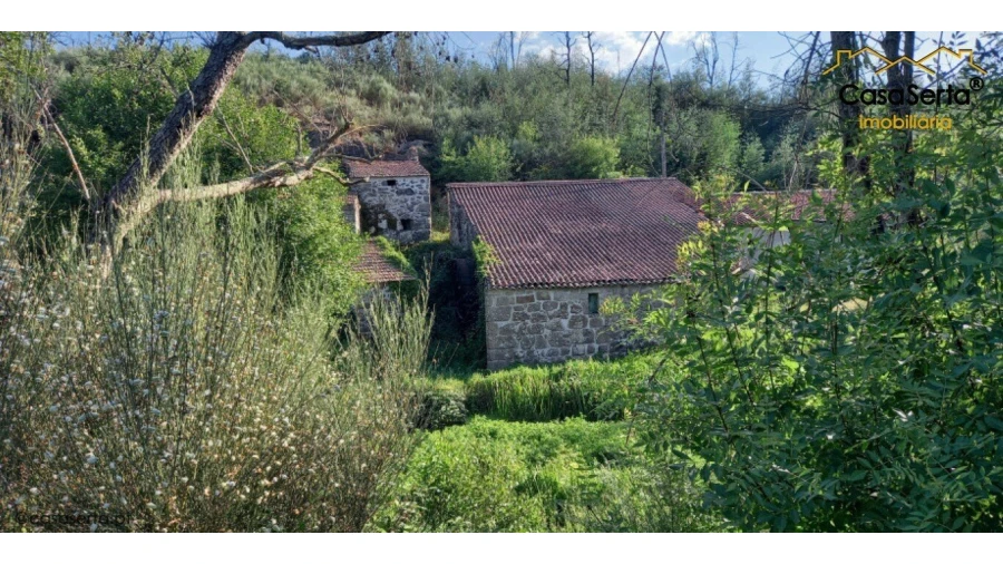 Quinta T0 para Venda em Travanca de Lagos Foto 2