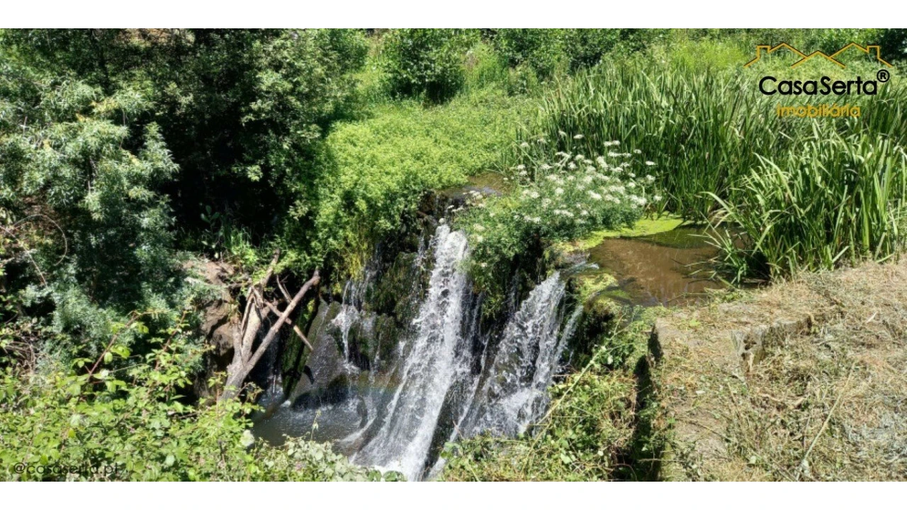 Quinta T0 para Venda em Travanca de Lagos Foto 7