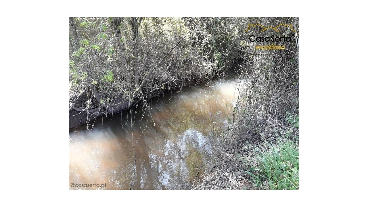 Quinta T0 para Venda em Aguda Foto 8