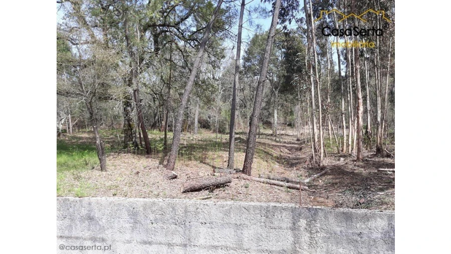 Quinta T0 para Venda em Aguda Foto 18