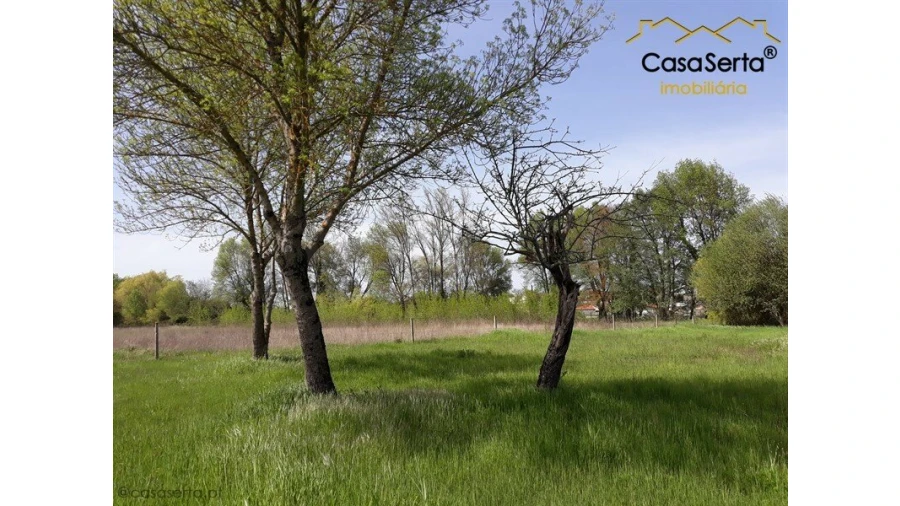 Quinta T0 para Venda em Aguda Foto 16