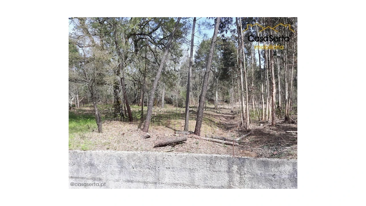 Quinta T0 para Venda em Aguda Foto 18