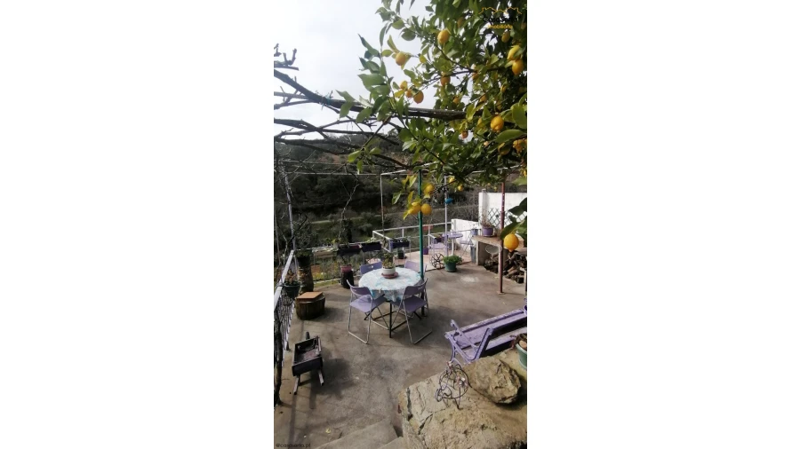 Moradia T2 para Venda em Pombal e Vales Foto 18