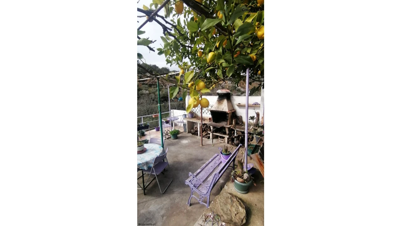 Moradia T2 para Venda em Pombal e Vales Foto 19