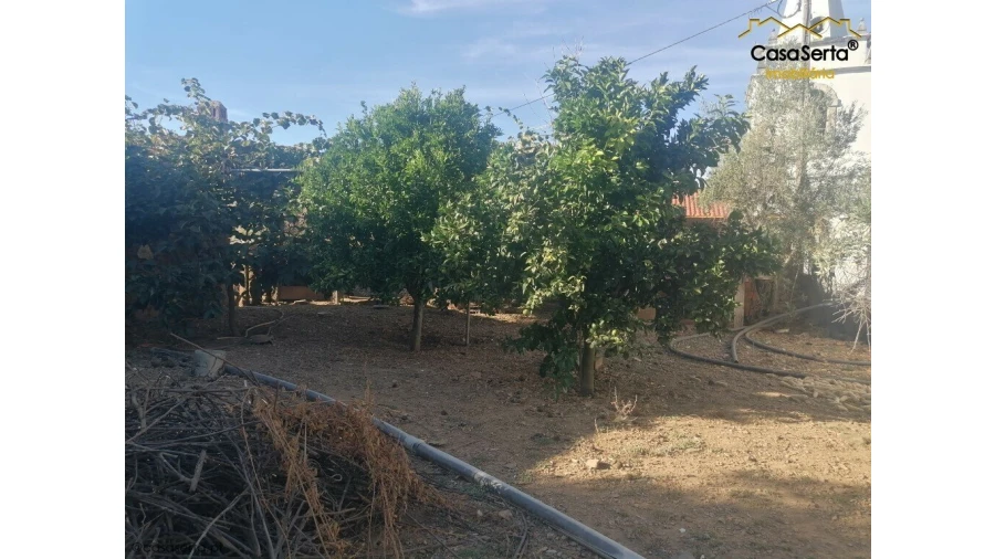 Quinta T0 para Venda em Estreito-Vilar Barroco Foto 9