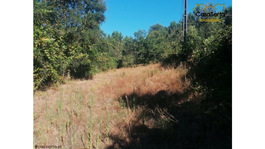 Quinta T2 para Venda em Oleiros-Amieira Foto 14