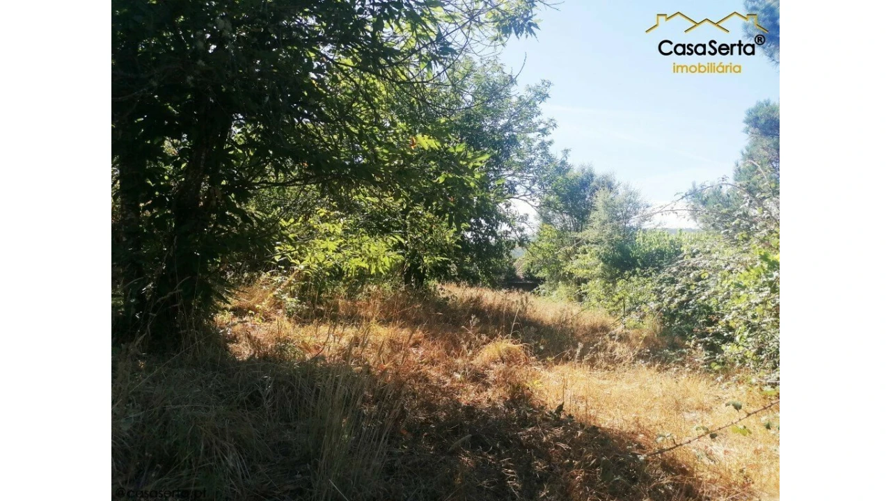 Quinta T2 para Venda em Oleiros-Amieira Foto 15