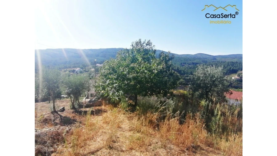 Quinta T1 para Venda em Sertã Foto 5