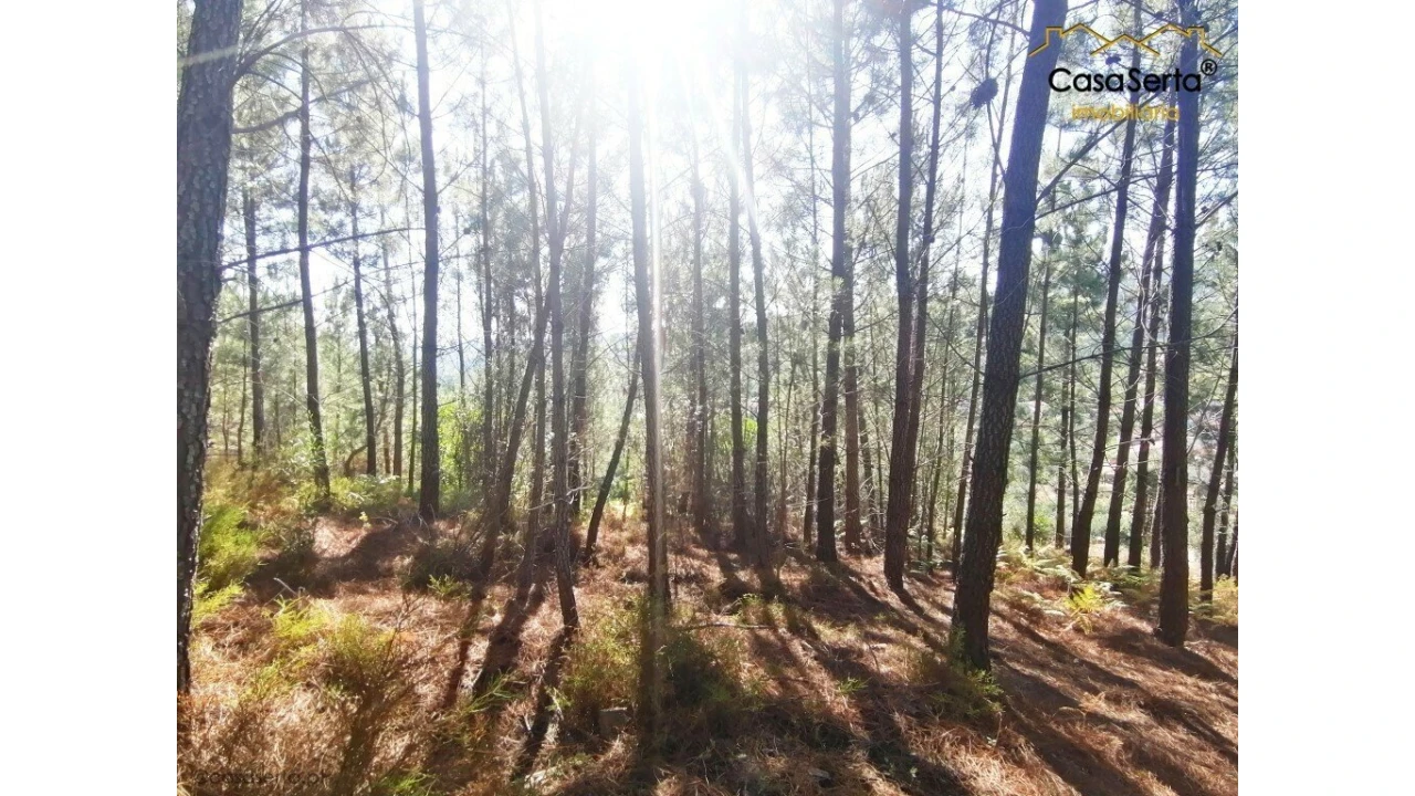 Quinta T1 para Venda em Sertã Foto 4