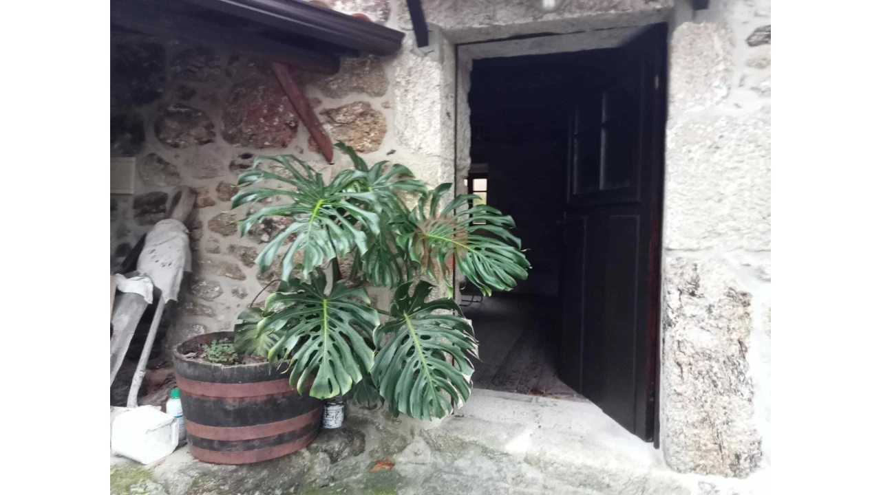 Moradia T1 para Venda em Chaviães e Paços Foto 7