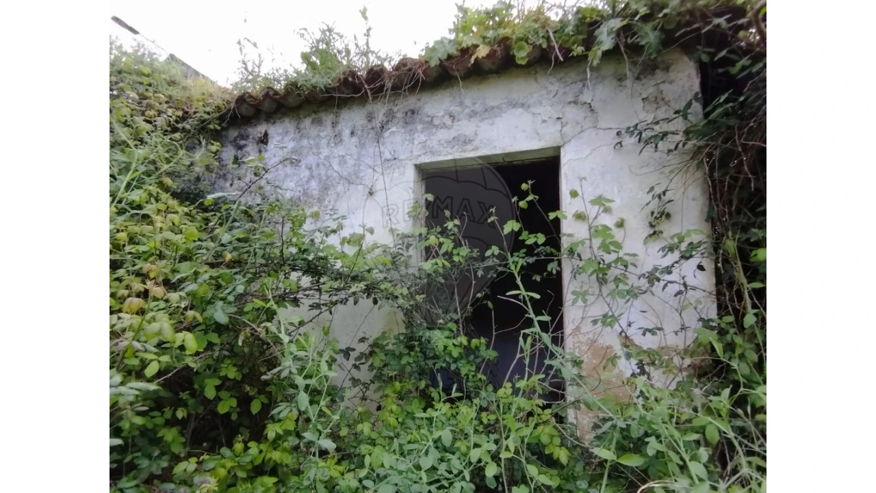 Quinta T3 para Venda em Lousa Foto 12