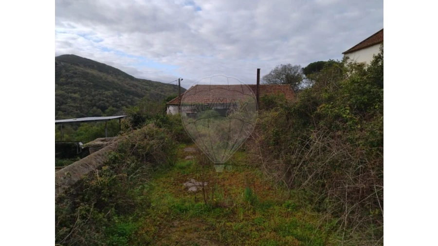 Quinta T3 para Venda em Lousa Foto 17