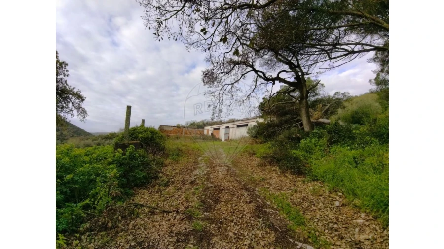 Quinta T3 para Venda em Lousa Foto 10