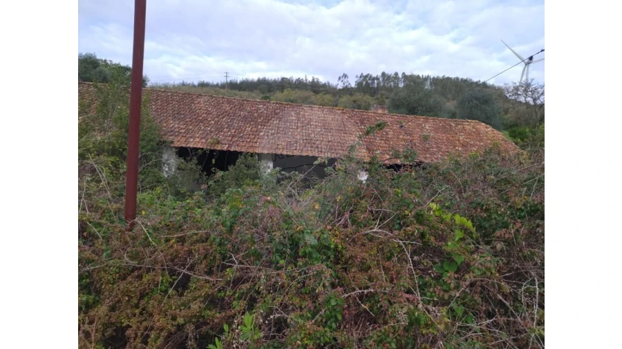 Quinta T3 para Venda em Lousa Foto 20