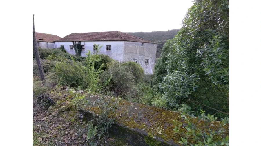 Quinta T3 para Venda em Lousa Foto 7