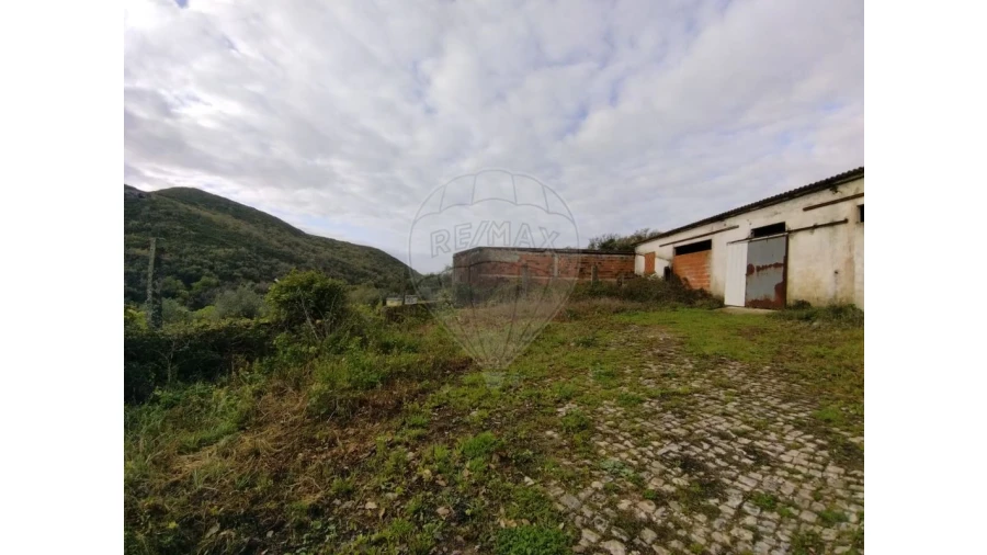 Quinta T3 para Venda em Lousa Foto 8