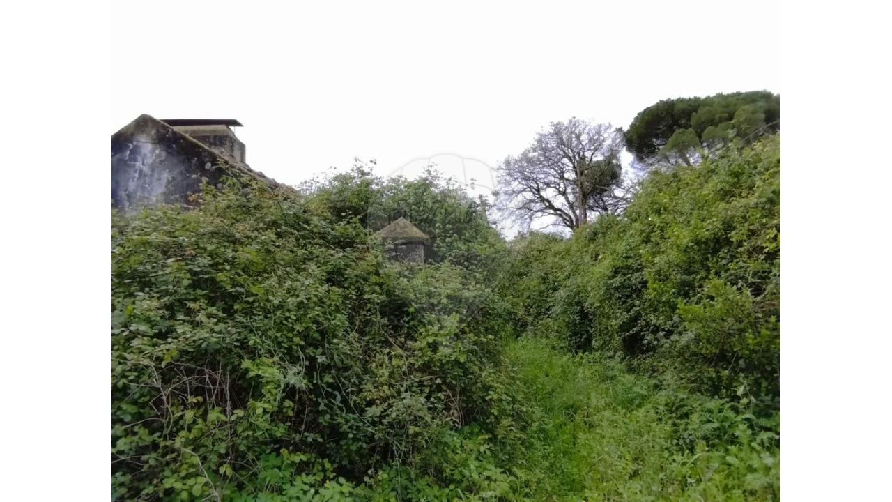 Quinta T3 para Venda em Lousa Foto 13